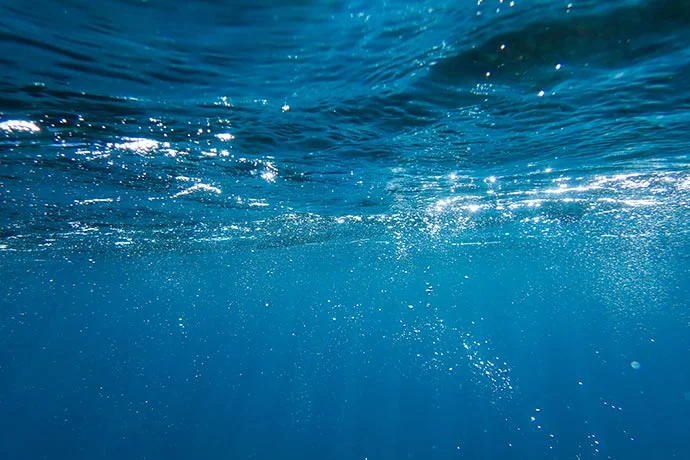 Greenado Wasserverbrauch